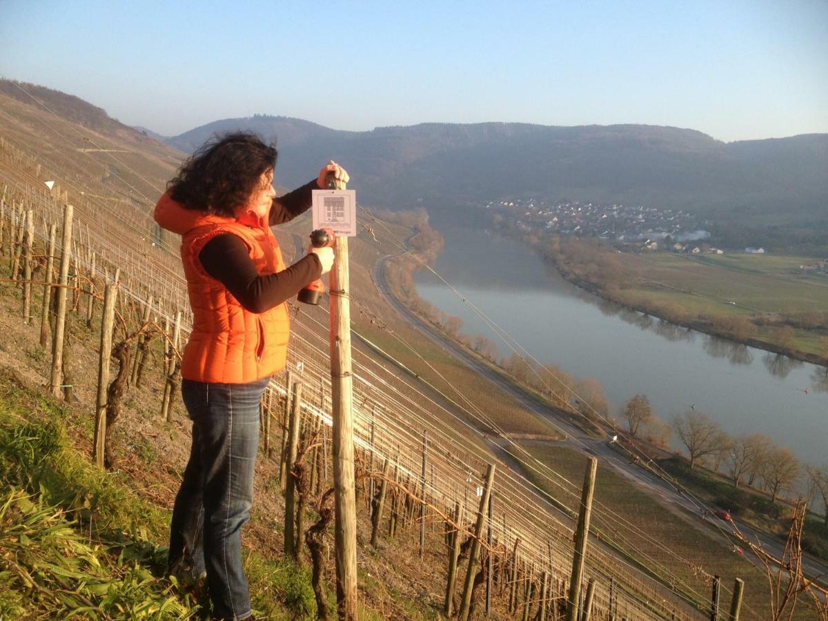 Sybille Kuntz Weingut Gaestehaus Apartment Lieser Exterior photo